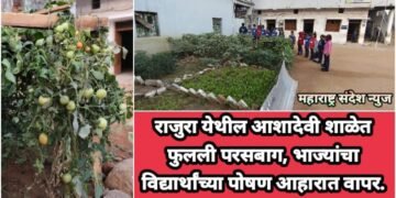 राजुरा येथील आशादेवी शाळेत फुलली परसबाग, भाज्यांचा विद्यार्थांच्या पोषण आहारात वापर.