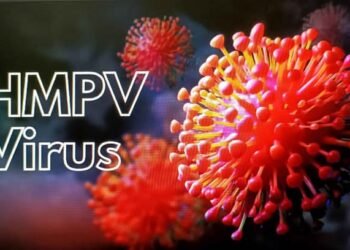 एचएमपीव्ही विषाणूला घाबरू नका, मात्र काळजी घ्या: वर्धा जिल्हाधिकारी वान्मथी सी.