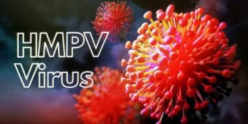 एचएमपीव्ही विषाणूला घाबरू नका, मात्र काळजी घ्या: वर्धा जिल्हाधिकारी वान्मथी सी.