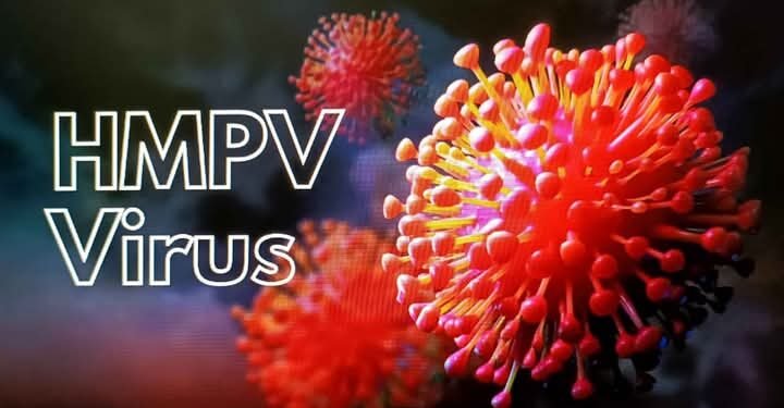 एचएमपीव्ही विषाणूला घाबरू नका, मात्र काळजी घ्या: वर्धा जिल्हाधिकारी वान्मथी सी.