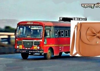 हिंगणघाट शहरातील बस स्थानकावरून बस मधून महिलेच्या पर्स मधून 50 हजार व 8 हजार रुपयाचे दागिने चोरी.