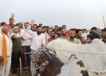 अल्लीपुर येथे शेतकरी शंकरपट, कृषी प्रदर्शनीला खासदार अमर काळे, प्रदेश सरचिटणीस अतुल वांदिले यांची भेट.