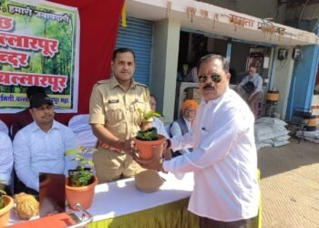 बल्लारपूर शहरात पर्यावरण संवर्धन व संरक्षण समितीतर्फे वरुक्षारोपण.