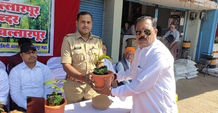 बल्लारपूर शहरात पर्यावरण संवर्धन व संरक्षण समितीतर्फे वरुक्षारोपण.