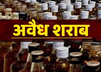 उपविभागीय पोलीस अधीकारी हिंगणघाट यांच्या पथकाची अवैध धंद्यावर व दारुबंदी विरोधात धडक कार्यवाही.