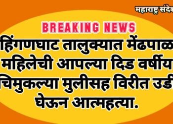 हिंगणघाट तालुक्यात मेंढपाळ महिलेची आपल्या दिड वर्षीय चिमुकल्या मुलीसह विरीत उडी घेऊन आत्महत्या.