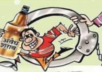 स्थानिक गुन्हे शाखा जिल्हा वर्धा पथकाकडून अवैध दारूविक्रेत्यावर धडक कार्यवाही.