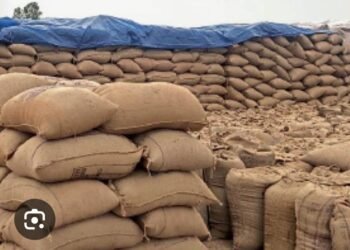 जिल्हा पुरवठा अधिकायांनी सोसायटी चे उघड्यावरील धान्य उचल करा.