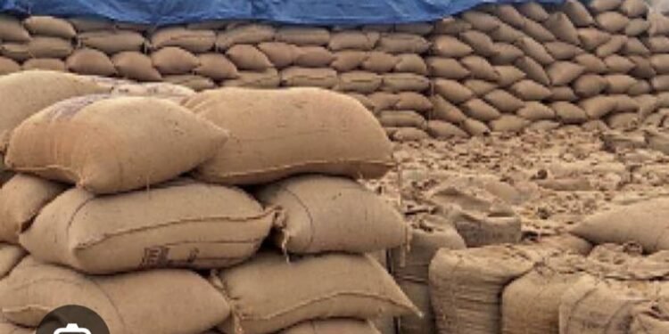 जिल्हा पुरवठा अधिकायांनी सोसायटी चे उघड्यावरील धान्य उचल करा.