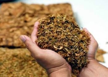 हिंगणघाट येथे सुगंधित तंबाखू विक्री करणाऱ्या दुकानावर अन्न व औषधी प्रशासनाची धडक कारवाई.