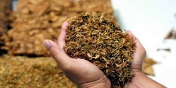 हिंगणघाट येथे सुगंधित तंबाखू विक्री करणाऱ्या दुकानावर अन्न व औषधी प्रशासनाची धडक कारवाई.