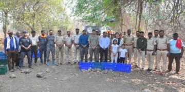 महाराष्ट्र कासव पुनर्वसन प्रकल्पअंतर्गत ३४० भारतीय स्टार कासवांची राजुरा वनपरिक्षेत्रात मुक्तता.