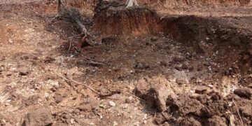 कोरेपल्ली रस्त्याच्या काम निकृष्ट दर्जाचे रस्त्याच्या कामाचे उच्चस्तरीय चौकशी करण्यात यावे श्रीधर दुग्गीरालापाटी सामाजिक कार्यकर्ता यांची मागणी.