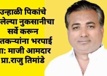 उन्हाळी पिकांचे झालेल्या नुकसानीचा सर्वे करून शेतकऱ्यांना भरपाई द्या: माजी आमदार प्रा.राजु तिमांडे