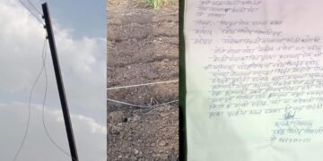 मंठा: शेतात जीवित विद्युत तार पडली, शेतकऱ्याने उपकार्यकारी अभियंता तक्रार देऊनही साधी दखल नाही?