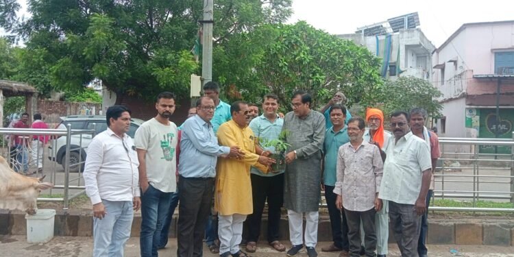 बल्लारपूर मे वृक्षारोपण एवं सत्कार कार्यक्रम संपन्न.