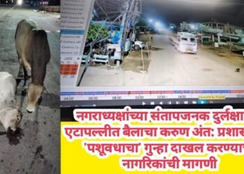 नगराध्यक्षांच्या संतापजनक दुर्लक्षामुळे एटापल्लीत बैलाचा करुण अंत: प्रशासनावर ‘पशूवधाचा’ गुन्हा दाखल करण्याची नागरिकांची मागणी.