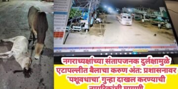 नगराध्यक्षांच्या संतापजनक दुर्लक्षामुळे एटापल्लीत बैलाचा करुण अंत: प्रशासनावर ‘पशूवधाचा’ गुन्हा दाखल करण्याची नागरिकांची मागणी.
