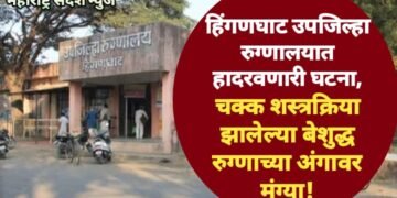 हिंगणघाट उपजिल्हा रुग्णालयात हादरवणारी घटना, चक्क शस्त्रक्रिया झालेल्या बेशुद्ध रुग्णाच्या अंगावर चढल्या मुंग्या!