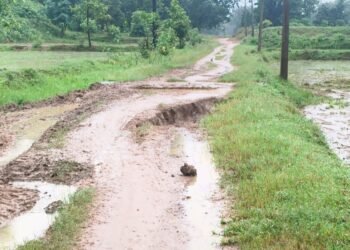 गोटाटोला वासीयांचा स्वातंत्र्यदिनी ठिय्या आंदोलन, गोटाटोला गावाला रस्ताच नाही, संपूर्ण गाव करणार आंदोलन.