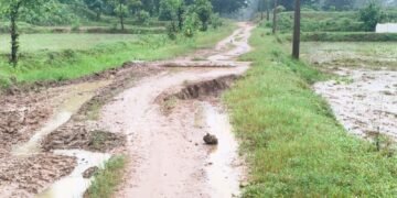 गोटाटोला वासीयांचा स्वातंत्र्यदिनी ठिय्या आंदोलन, गोटाटोला गावाला रस्ताच नाही, संपूर्ण गाव करणार आंदोलन.
