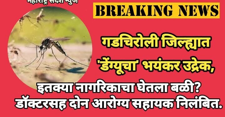 गडचिरोली जिल्ह्यात ‘डेंग्यूचा’ भयंकर उद्रेक,  इतक्या नागरिकाचा घेतला बळी? डॉक्टरसह दोन आरोग्य सहायक निलंबित.