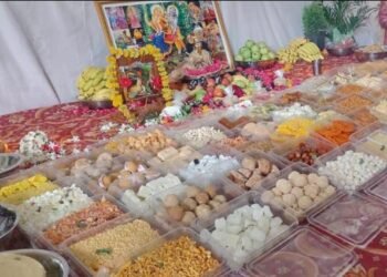 श्रीकृष्ण जन्मोत्सव हिंगणघाटमध्ये मोठ्या उत्साहात साजरा, नारायण सेवा मित्र परिवाराकडून छप्पन भोग आणि गोसेवा कार्यक्रमाचं आयोजन