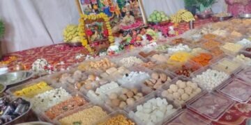 श्रीकृष्ण जन्मोत्सव हिंगणघाटमध्ये मोठ्या उत्साहात साजरा, नारायण सेवा मित्र परिवाराकडून छप्पन भोग आणि गोसेवा कार्यक्रमाचं आयोजन