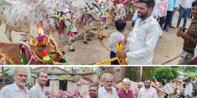 सावळी खुर्द येथे बैल पोळ्याचा सण उत्साहात साजरा.
