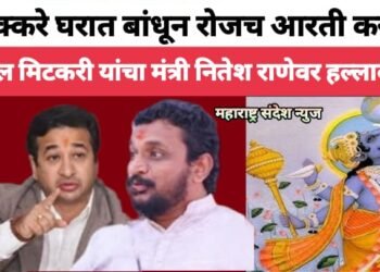 डुक्करे घरात बांधून रोजच आरती करा अमोल मिटकरी यांचा मंत्री नितेश राणेवर हल्लाबोल.