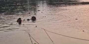 चंद्रपूर जिल्ह्यात नदीत पोहण्याचा मोह जीवावर बेतला, दोन तरुणाचा नदीत बुडून मृत्यूने गावात पसरली शोककळा.