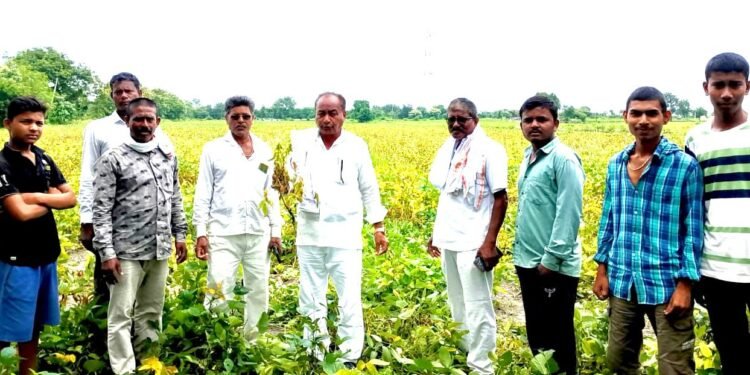 शासनाने सर्व पिकांचा सर्व्हे करून शेतकऱ्यांना आर्थिक मदत द्या: माजी आमदार प्रा.राजू तिमांडे