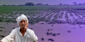 दिवाळीपूर्वी शेतकऱ्यांच्या खात्यात भरपाई देण्याचा दावा फोल ! फक्त 30 टक्केच शेतकऱ्यांच्या खात्यात निधी जमा.