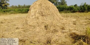 वन विभागाने चामोर्शी तालुक्यात रानटी हत्तीच्या हौदोसाने नुकसान झालेल्या शेतकऱ्यांना धान पिकाचे वनविभागाकडून तात्काळ नुकसान भरपाई देण्यात यावी.