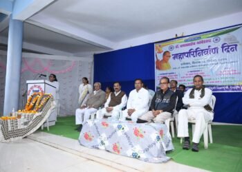 डॉ बाबासाहेब आंबेडकर यांना महापरिनिर्वाण दिनी दीक्षाभूमी देसाईगंज येथे विनम्र अभिवादन.