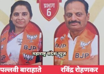 हिंगणघाट नगर पालिका निवडणुकीत प्रभात क्रमांक 6 मधून भाजपाच्या पल्लवी बाराहाते आणि रवींद्र रोहणकर विजयी.