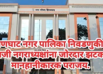 हिंगणघाट नगर पालिका निवडणुकीत 3 माजी नगराध्यक्षांना जोरदार झटका, मानहानीकारक पराजय.