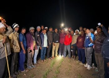 वर्धा जिल्ह्यातील चाणकी कोपरा पिंपळगाव शिवारात वाघांची दहशत.