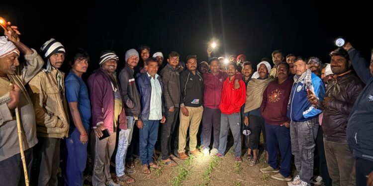 वर्धा जिल्ह्यातील चाणकी कोपरा पिंपळगाव शिवारात वाघांची दहशत.