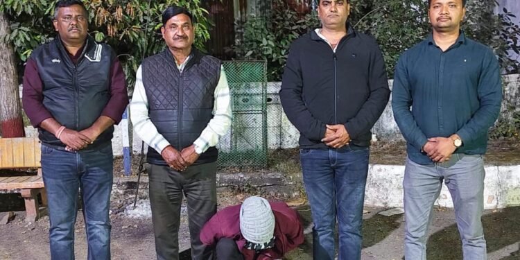 वर्धा: गांजा अंमली पदार्थाची विक्री करणारा गुन्हेगार स्थानिक गुन्हे शाखेच्या जाळ्यात.