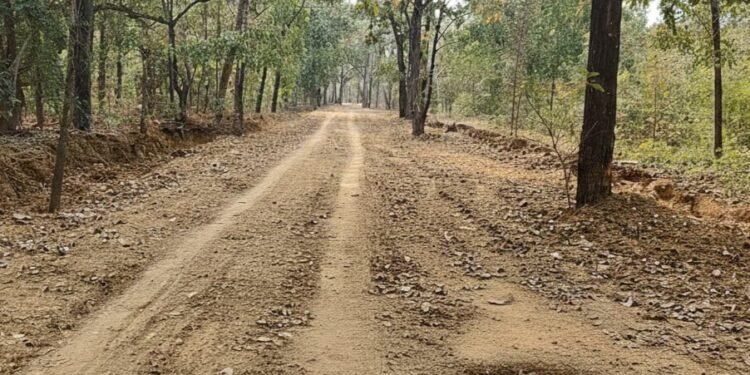 बरसेवाडा- चंदनवेली रस्त्याची दयनीय अवस्था; नागरिकांचे प्रचंड हाल, तात्काळ दुरुस्तीची जोरदार मागणी.