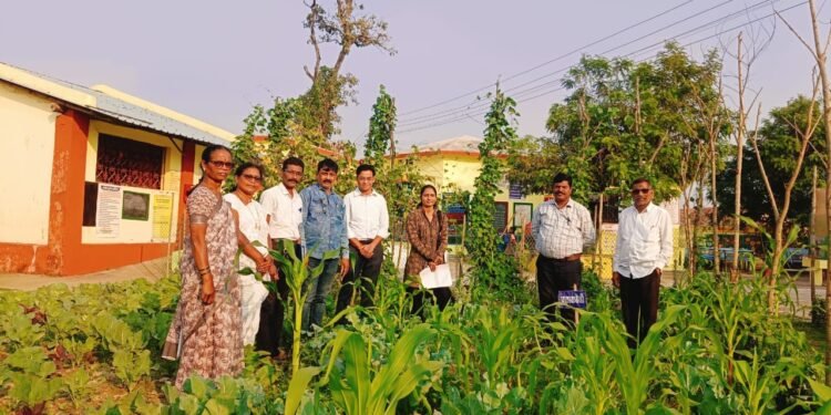 प्रधानमंत्री पोषण शक्ती निर्माण योजनेंतर्गत परसबाग स्पर्धेत जिल्हा परिषद प्राथमिक शाळा कर्रेम तालुक्यातुन प्रथम.