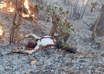 ब्रेकिंग न्यूज | एटापल्ली  ॲक्टिव्हा दुचाकीने अचानक पेट घेतल्याने पुरुष ठार.