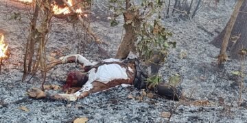 ब्रेकिंग न्यूज | एटापल्ली  ॲक्टिव्हा दुचाकीने अचानक पेट घेतल्याने पुरुष ठार.