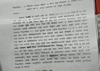 शुलक कारणा वरूनआदिवासी महिलेस बेदम मारहाण.