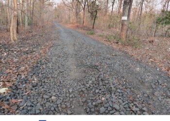 सिरोंचा–झिम्मेला मार्ग रखडला; निकृष्ट कामामुळे नागरिक त्रस्त,  कंत्राटदारावर कारवाईची मागणी.