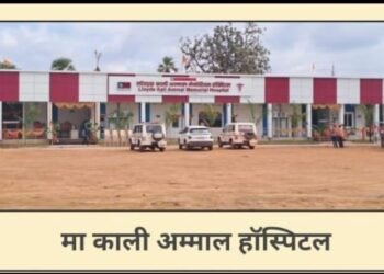 हेडरीतील लॉयड्स मेटल्स कंपनीचे ‘मा काली अम्माल’ हॉस्पिटल मल्टी स्पेशालिटीमध्ये रूपांतर.